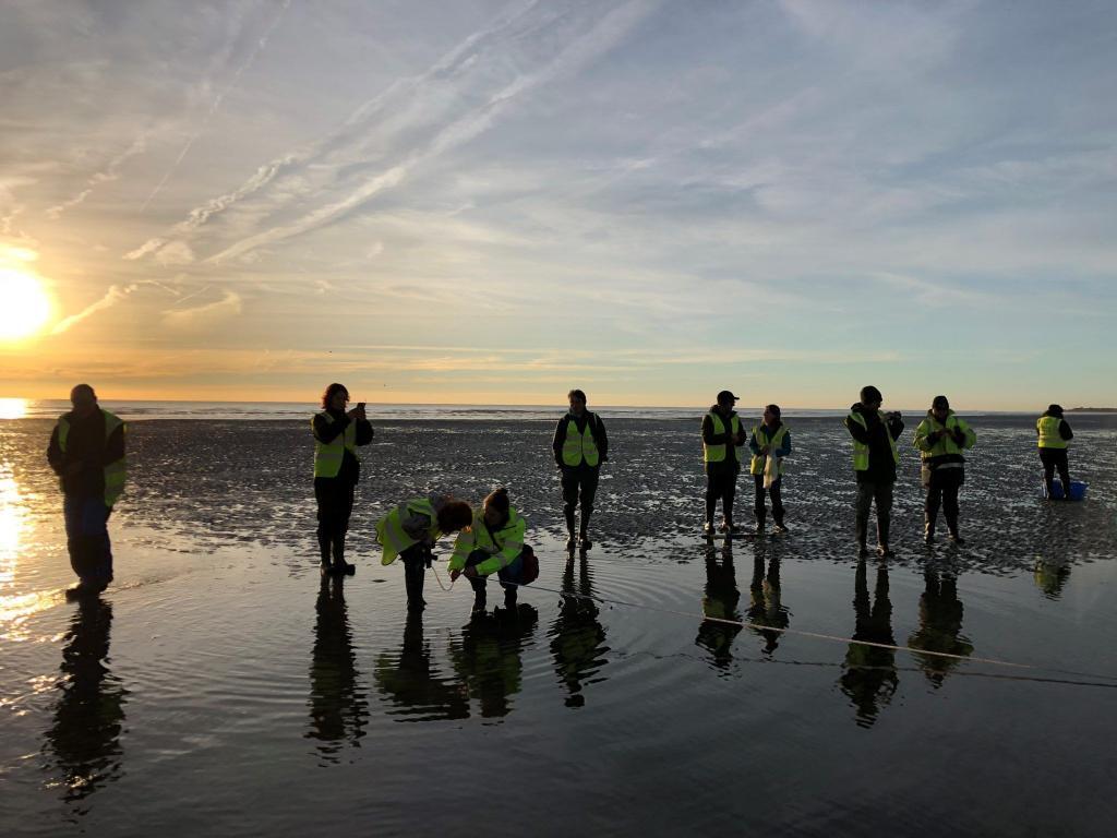 sandwich flats volunteers at sunrise recording intertial archaeology at Sandwich Bay