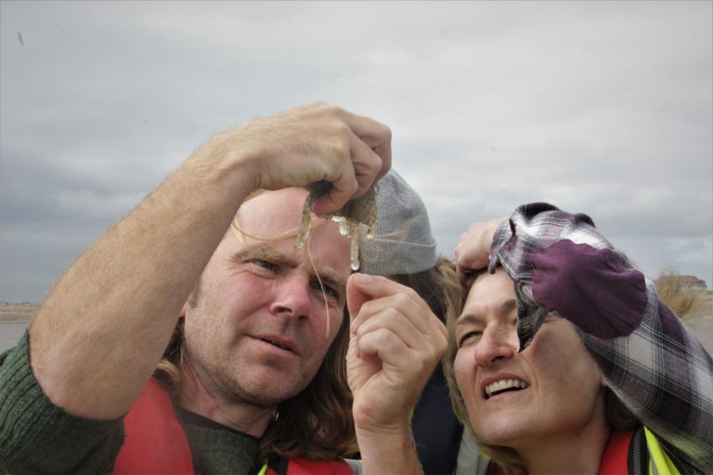 ecosystems services assessments