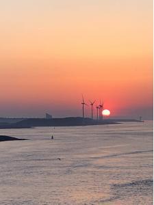 distant wind turbines before a sunset