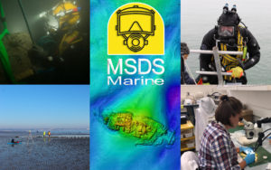 MSDS Marine promotional banner featuring several aspects of the company.