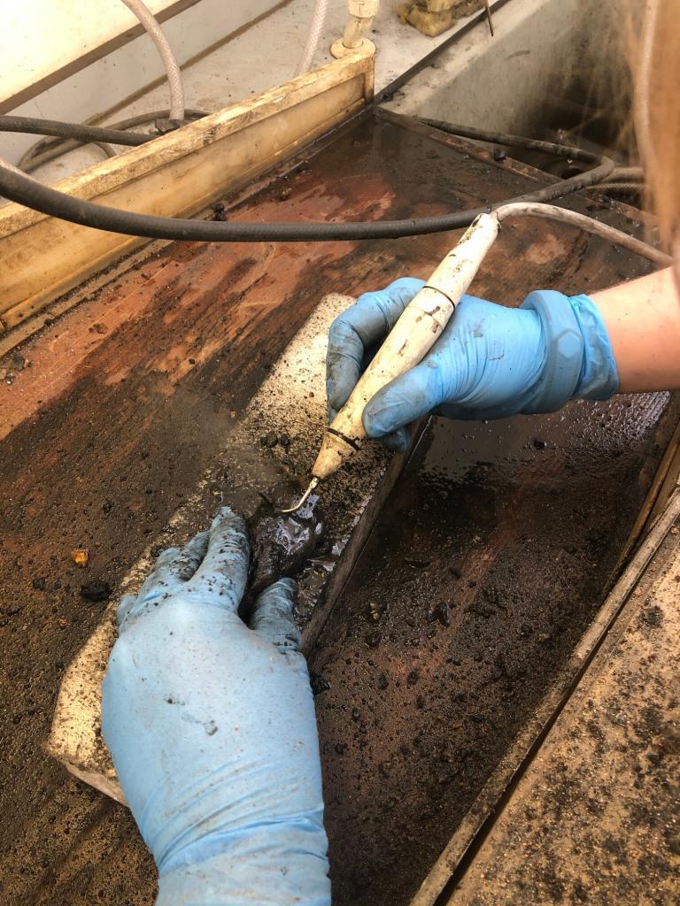 Verity Landrock using an air-scribe to remove concretion from a find from the Rooswijk