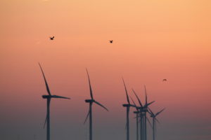 Coastal windfarm