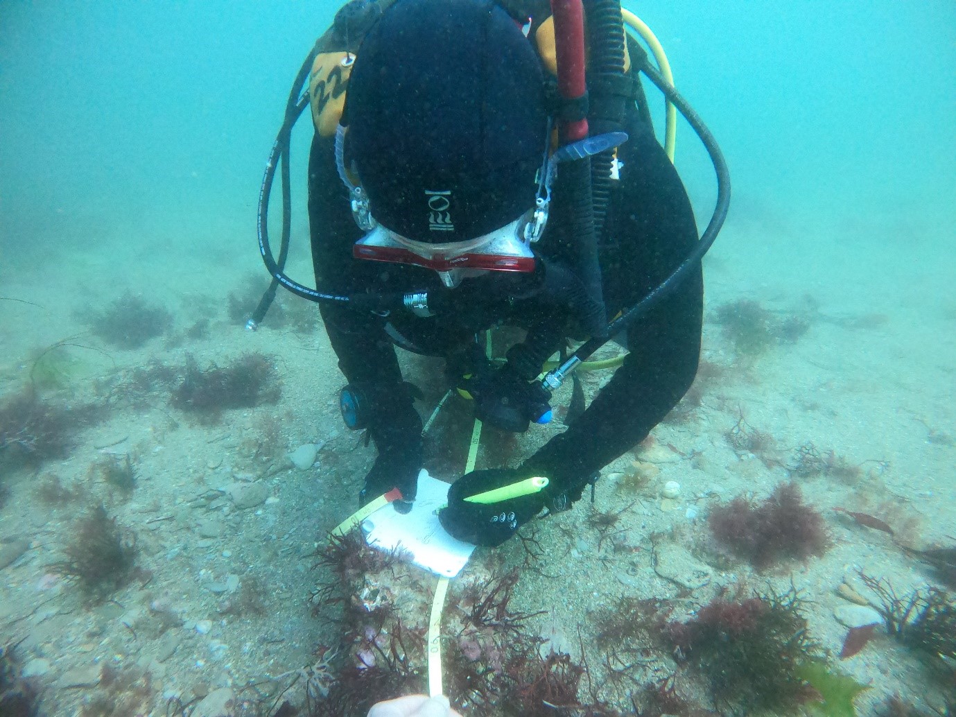 image from Adam Bolton the 2019 recipient of the MSDS Marine grant award to support maritime archaeology students featuring Adam surveying a portion of sunken anchor