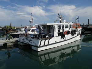 the predator boat at the docks