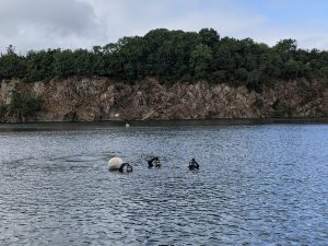 three divers mostly underwater. their heads are above water and they are waving. behind them is a grey cliff with green trees on it.