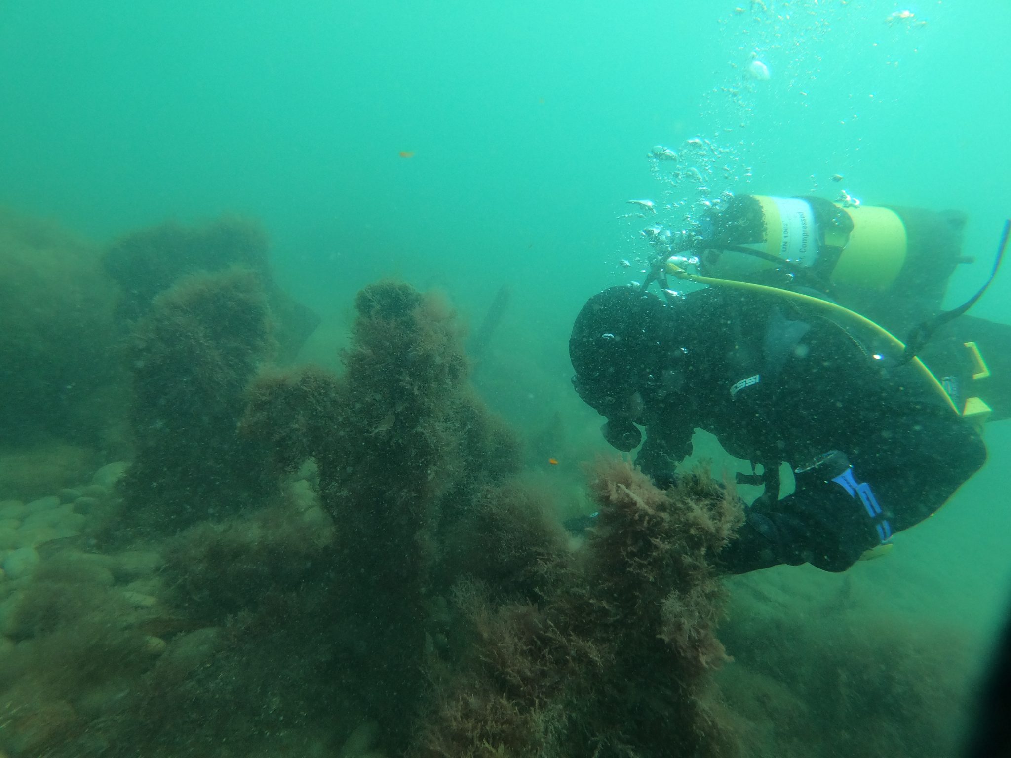 a diver underwater with a wetsuit and yellow oxygen tank looking at parts of a wreck underwater.